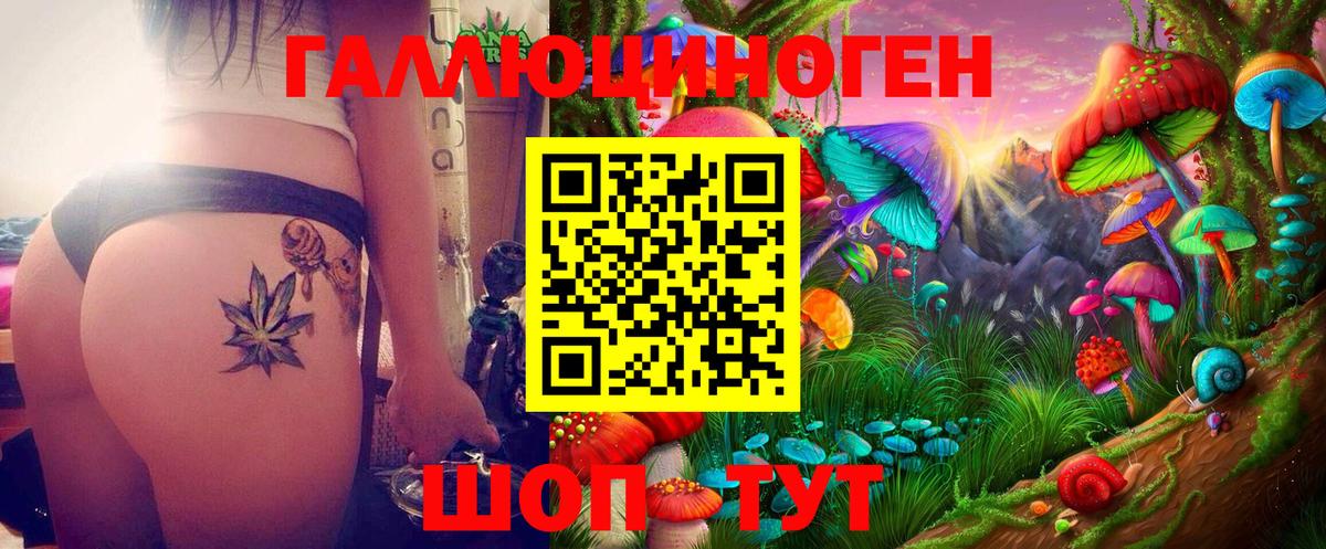 Псилоцибиновые грибы Psilocybine cubensis  Вход с VPN  Гурьевск 