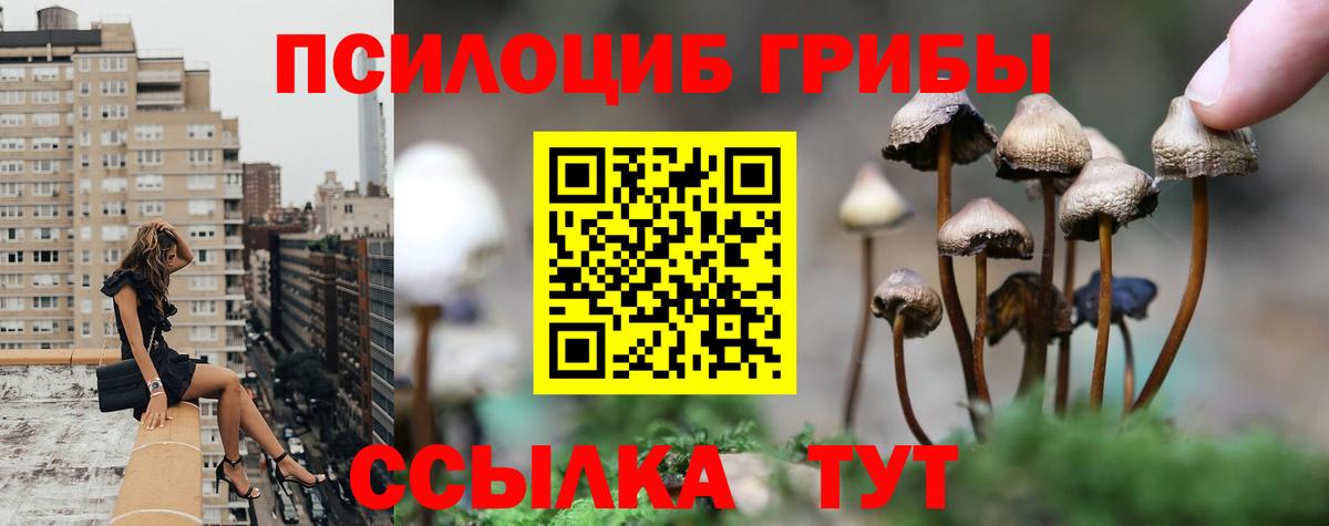 Псилоцибиновые грибы ЛСД Гурьевск